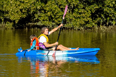 BIG4 Saltwater At Yamba Holiday Park - Accommodation Brisbane 2