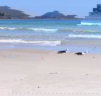 Eagles Rise Tasmania - Accommodation Brisbane