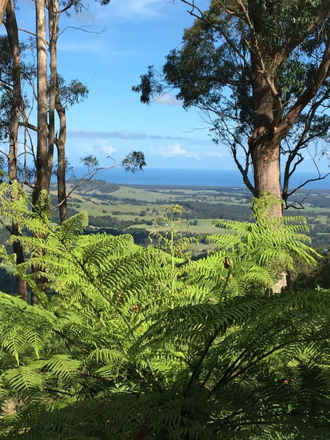 Escarpment - Accommodation Brisbane 0