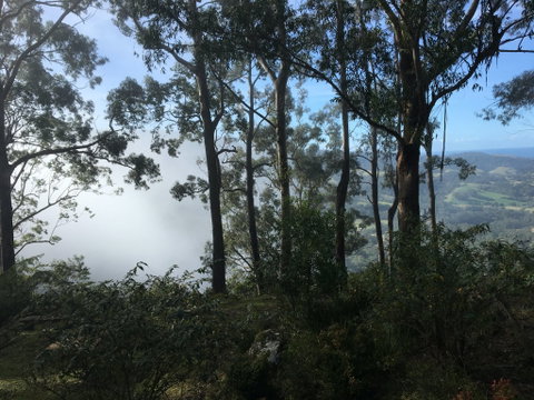 Escarpment - Accommodation Brisbane 2