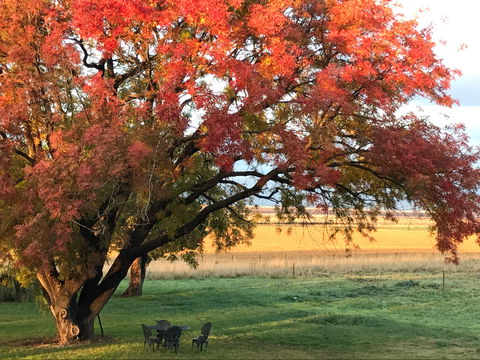 Little Kickabell Country Homestead - Accommodation Brisbane 0