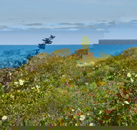 Preston Beach Front Apartment - Accommodation Brisbane