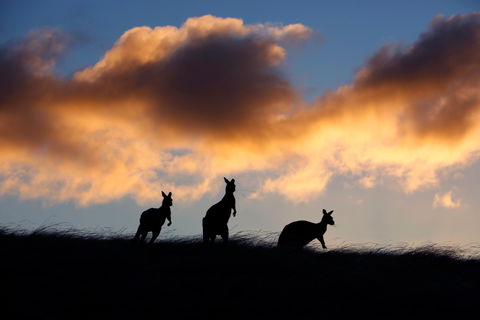 Sky House LifeTime Private Retreats - Accommodation Brisbane 1