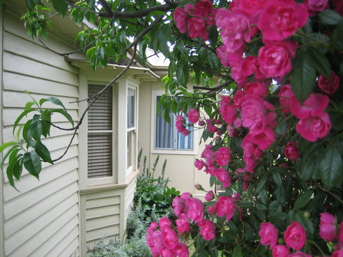 Valley Views Bed And Breakfast - Accommodation Brisbane 0