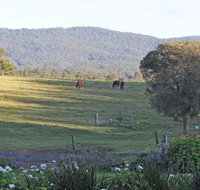 Wallaby Cottage - Accommodation Brisbane