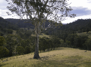 Yasuragi Cabins - Accommodation Brisbane 1