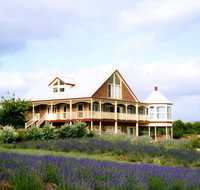 Serendipity Lavender Farm - Accommodation Brisbane