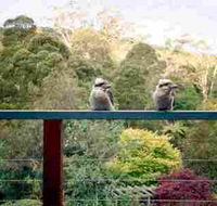 Mast Gully Gardens