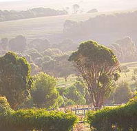 Mackas Farm