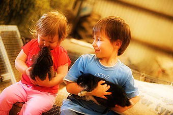 Mackas Farm - Accommodation Brisbane 1