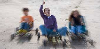 Mackas Farm - Accommodation Brisbane 2