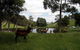 Gracefield Cottage - thumb 3
