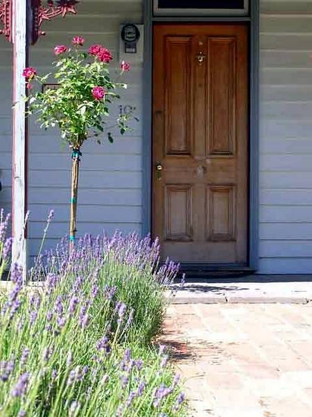 Airleigh - Rose Cottage - Accommodation Brisbane 2
