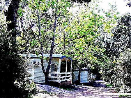 Flinders Caravan Park - Accommodation Brisbane 0