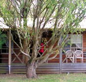 BIG4 Ballarat Windmill Holiday Park - Accommodation Brisbane