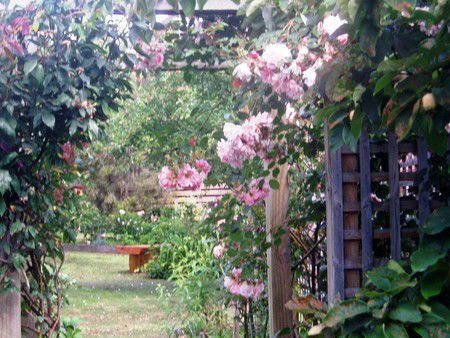 Hudspeth House Bed And Breakfast - Accommodation Brisbane 2