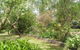 Hudspeth House Bed And Breakfast - thumb 5