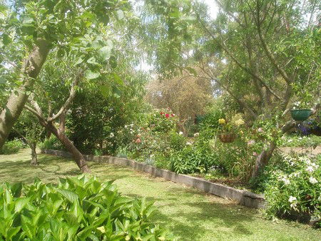 Hudspeth House Bed And Breakfast - Accommodation Brisbane 5