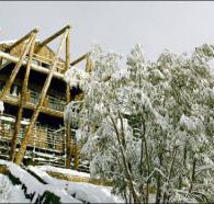 Silverski - Accommodation Brisbane