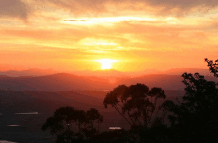 Avocado Sunset - Accommodation Brisbane