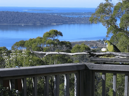 Bed in the Treetops - Accommodation Brisbane