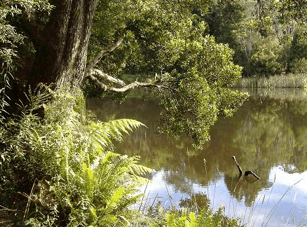 Weldborough Hotel - Accommodation Brisbane