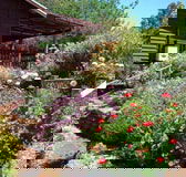 Chestnut Brook Cottage - Accommodation Brisbane