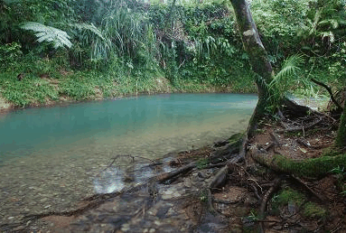 Diwan QLD Accommodation Brisbane