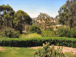Ascot Holiday House - Accommodation Brisbane 2