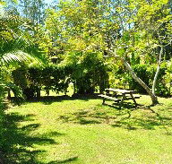 Wooli Caravan Park - Accommodation Brisbane