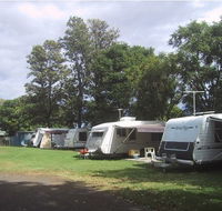 Waioma Caravan Park - Accommodation Brisbane