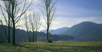 Ashton Townhouse Motel & Suites Tumut - Accommodation Brisbane 3