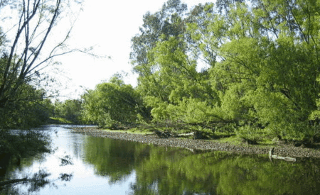 Ribbonwood Cottages - Accommodation Brisbane