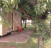 Carinya Cabins  Caravan Park - Accommodation Brisbane