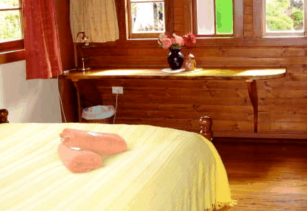 Nimbin Holiday Accommodation & Guest House - Accommodation Brisbane 5