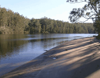 Riverbend Cottage - Accommodation Brisbane 1