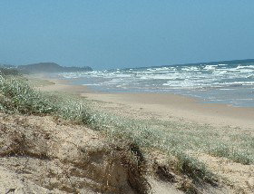 Beachcomber Peregian Beach - Accommodation Brisbane 4