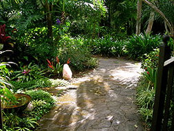 Book Goonellabah Accommodation Vacations Accommodation Brisbane Accommodation Brisbane