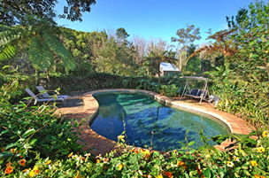 Acacia Dreaming At Light On Retreat - Accommodation Brisbane 3