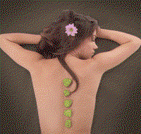 Je Suis Femme - Accommodation Brisbane