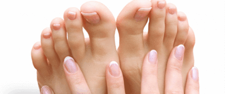 Ella Bache - Accommodation Brisbane 1