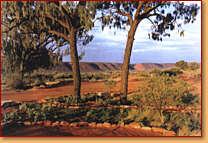 Kings Creek Station - Accommodation Brisbane 1