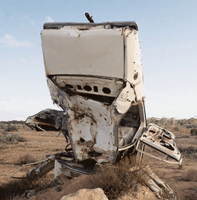 Anthony Riding Gallery - Accommodation Brisbane