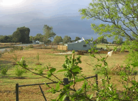 The House Of Honey - Accommodation Brisbane 2