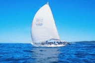 Manly Harbour Village - Accommodation Brisbane