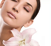 Stephanies Spa Retreat - Accommodation Brisbane