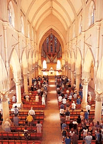 The Cathedral Of Saint Stephen - Accommodation Brisbane 2