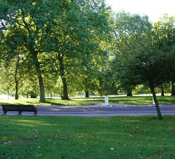 William Taylor Park - Accommodation Brisbane