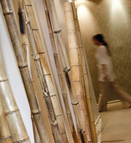 Spa Nirvana - Accommodation Brisbane 0