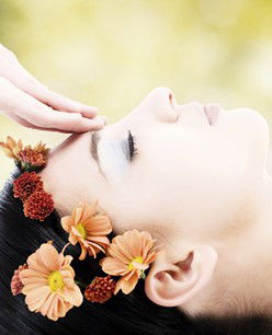 Retreat In The Suburbs - Accommodation Brisbane 2